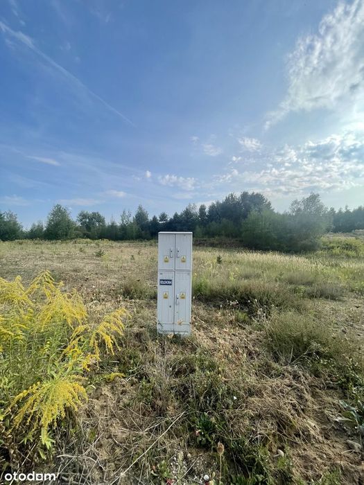 Bezpośrednio - sielska działka nad stawem koło lasu - 26km od Warszawy