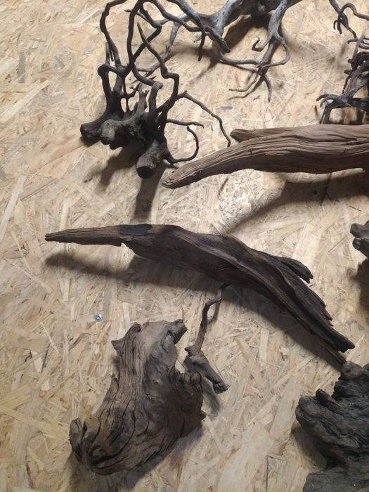 Korzenie do akwarium