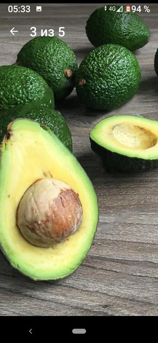 Семена карликового авакадо