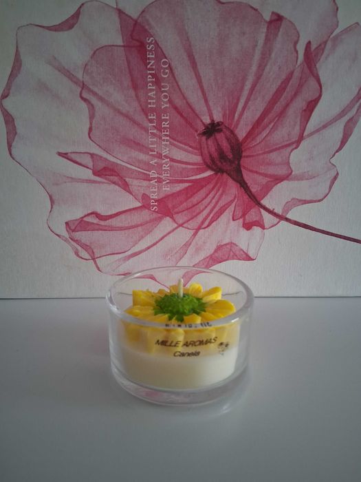 Confecção de velas artesanais e aromáticas