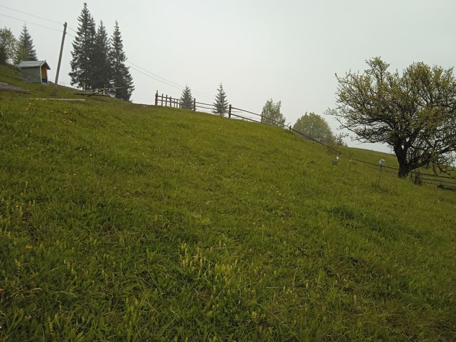 Продам земелю ділянки в Карпатах