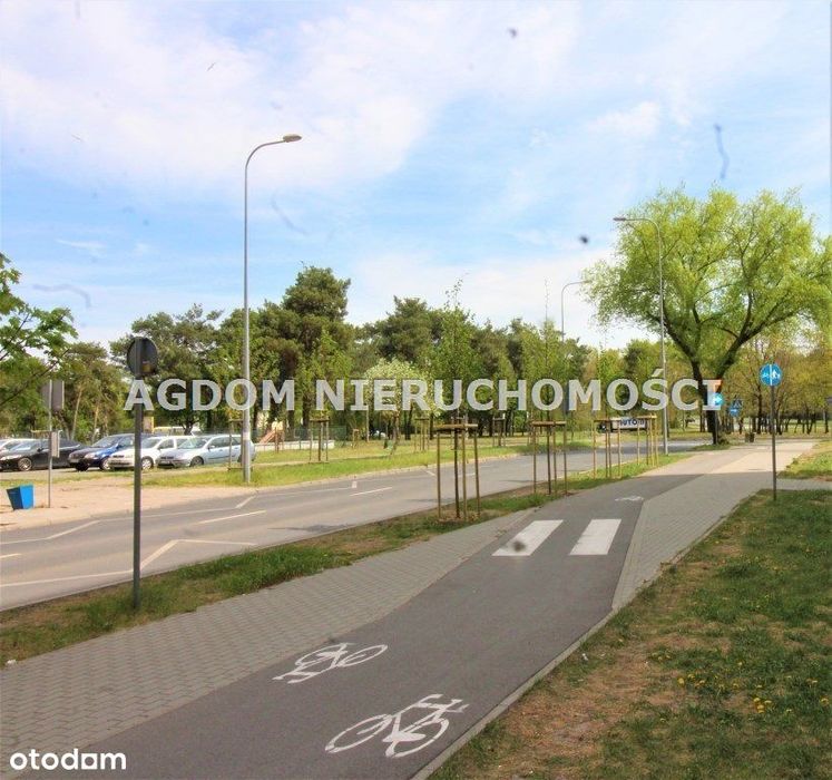 39 M kw przy lesie