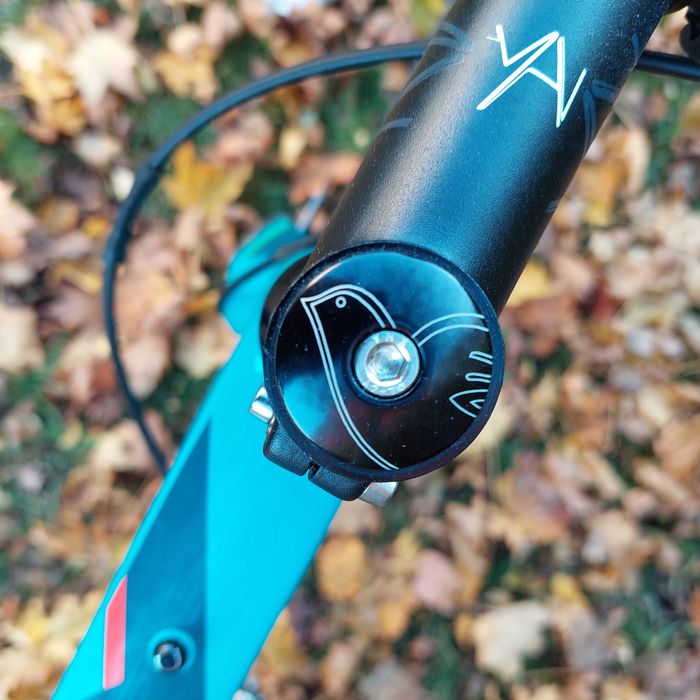 Cinelli King Zydeco L