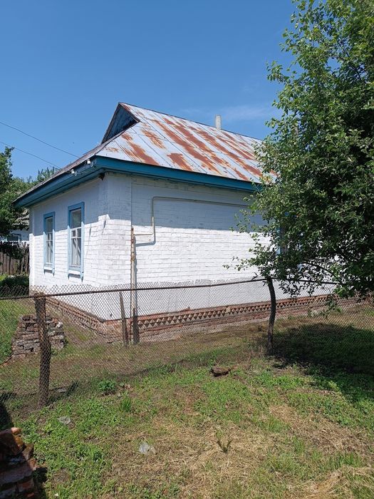 Цегляний будинок в с. Боромики