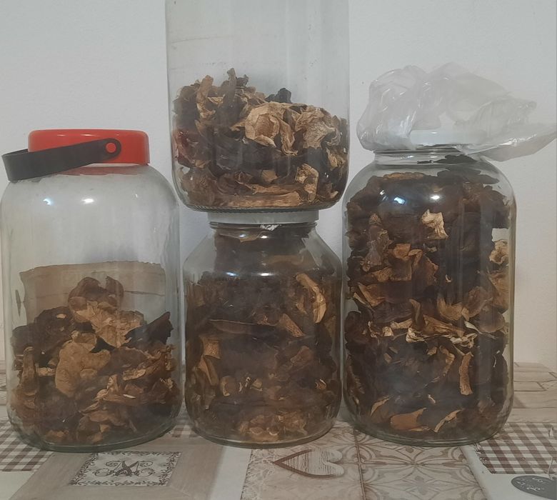Grzyby suszone tegoroczne borowik podgrzybek