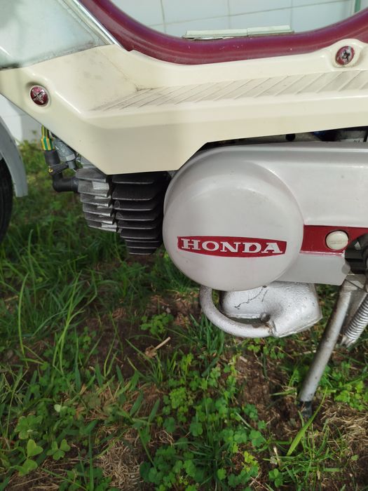 Mota Honda Camino