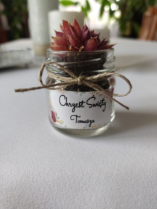 Podziękowanie na Chrzest sukulenty dla gości
