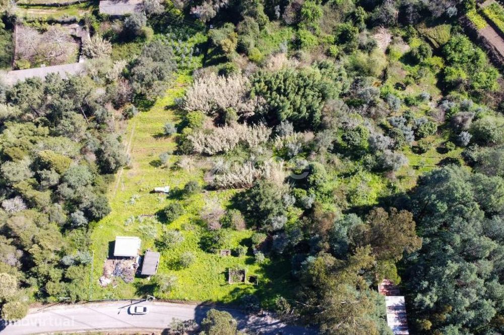 Terreno Urbano com Declive, Moradia de 3 Pisos em São Paulo de Frades