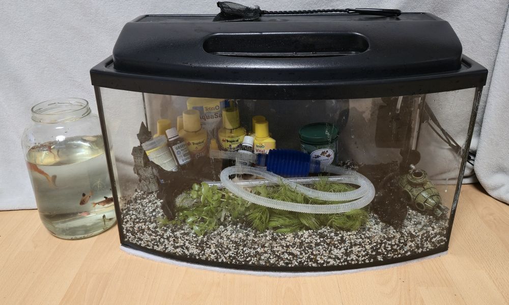 Akwarium 60l z akcesoriami
