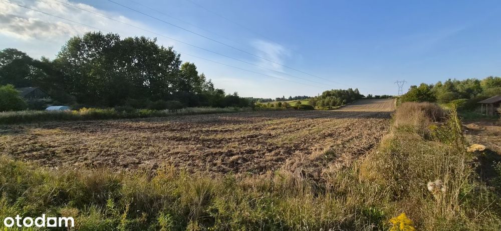 Działka rolno-budowlana w spokojnej okolicy - Widok 5