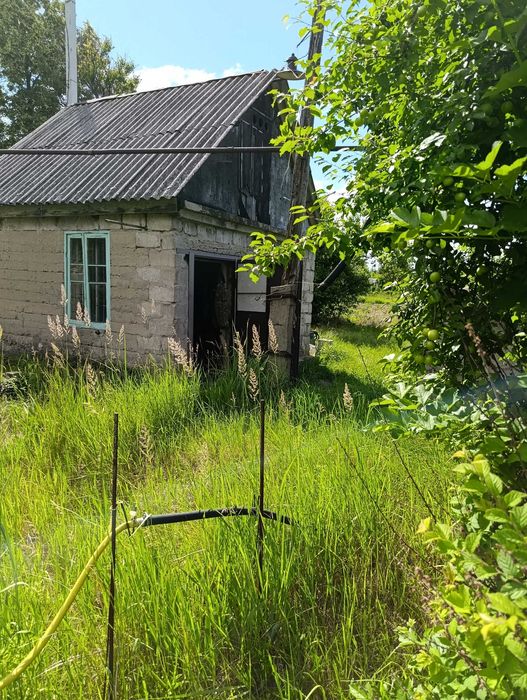 Продам земельну ділянку с. Куліші