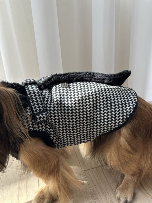 Одяг для собаки