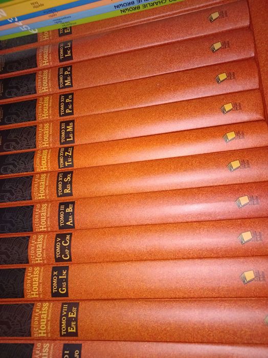 Dicionário Houaiss com todos os volumes