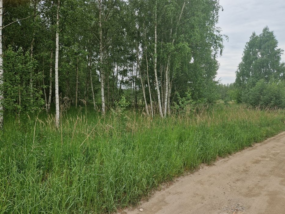 Działka budowlana  przy jeziorze Choszczno ul.Szymborskiej Betlejem