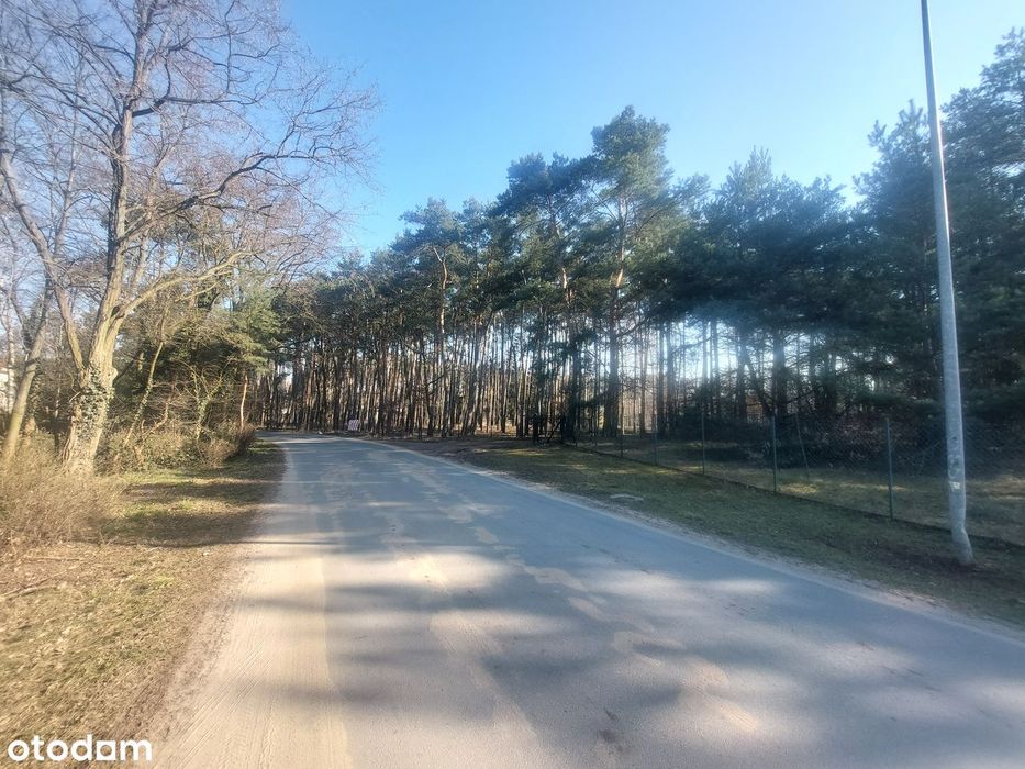Nietuzinkowa, klimatyczna działka budowlana - Widok 2