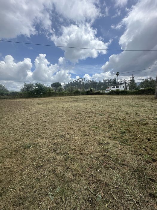 Limpeza de Terrenos e Corte de Arvores