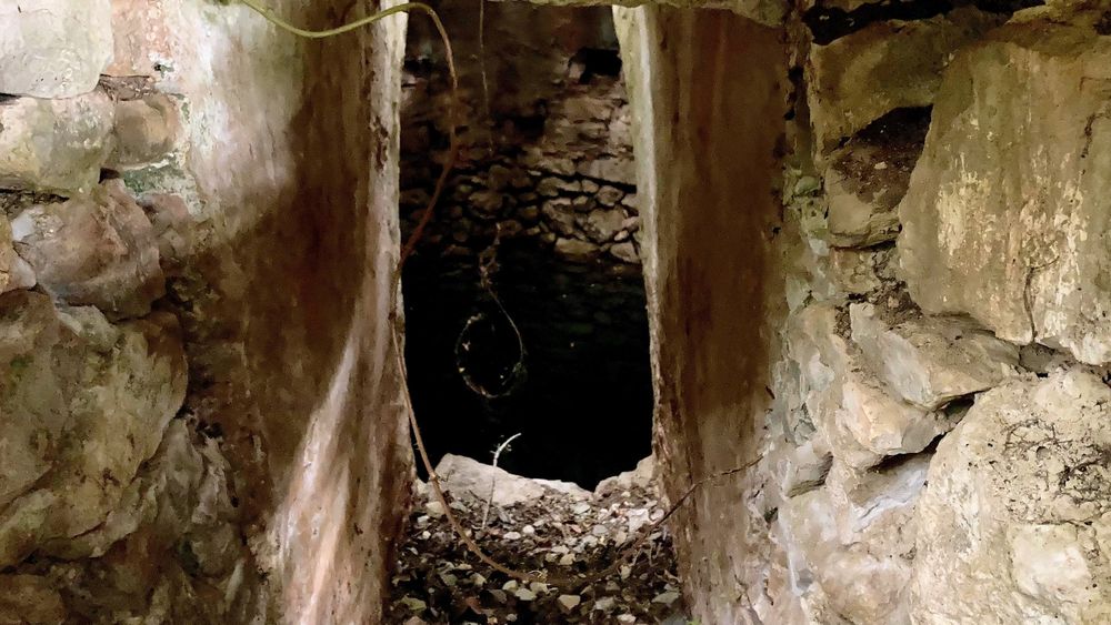 Terreno Rustico São Brás com Agua