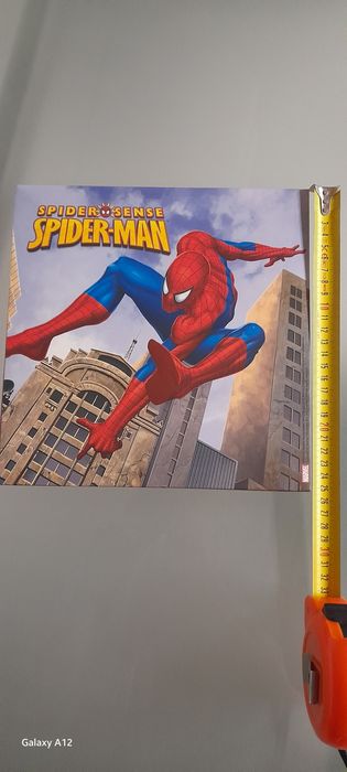 Quadro Homem Aranha.