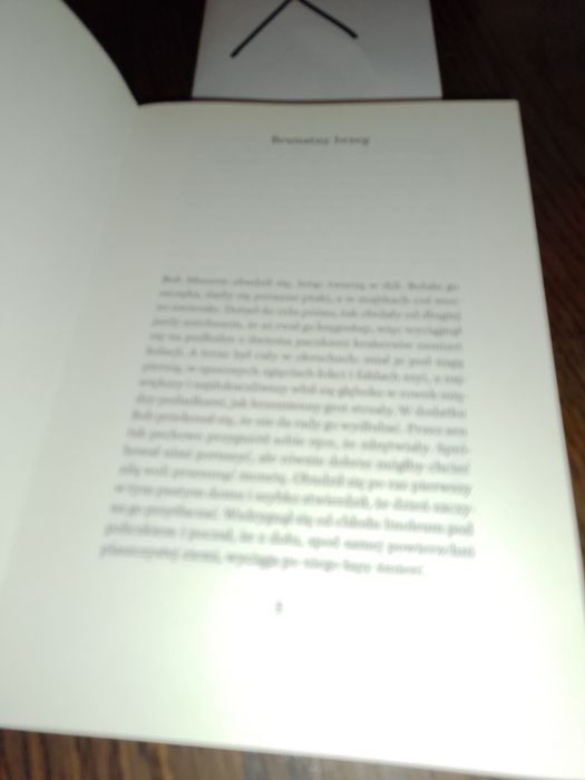 Ruiny i Zgliszcza Wells Tower