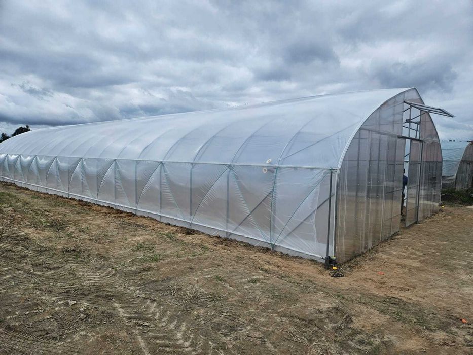 tunel foliowy 10 x 30 x 4.20 GOTYK