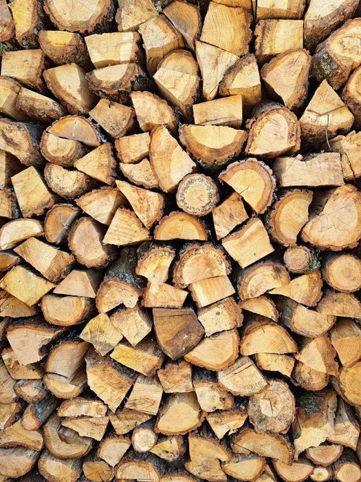 Дрова дубі Колоті, Кращі ціни, Васильків