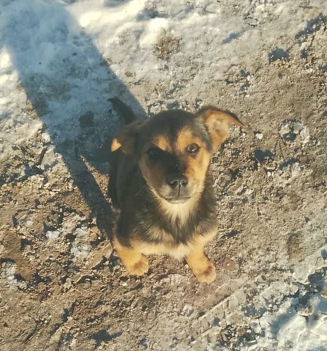 Мрію про люблячу родину!