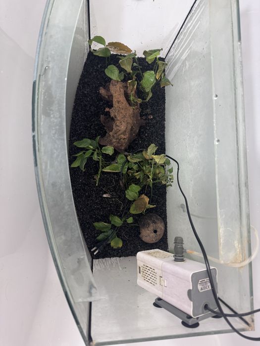 Безкоштовно акваріум 72 літра