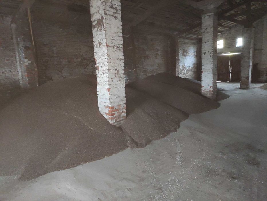 Гречка сорт Арно 1 репродукцї