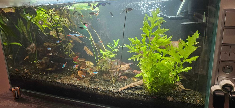 Sprzedam Akwarium 107l