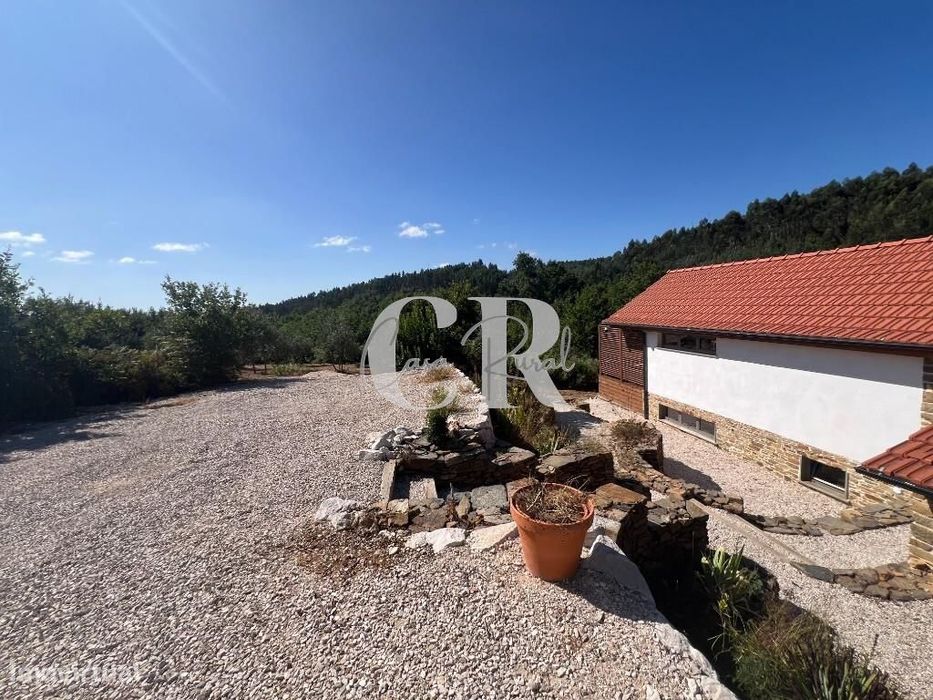 Casa de Pedra Renovada, Ruínas, Riacho, Poços e 15.570m2 de Terreno na