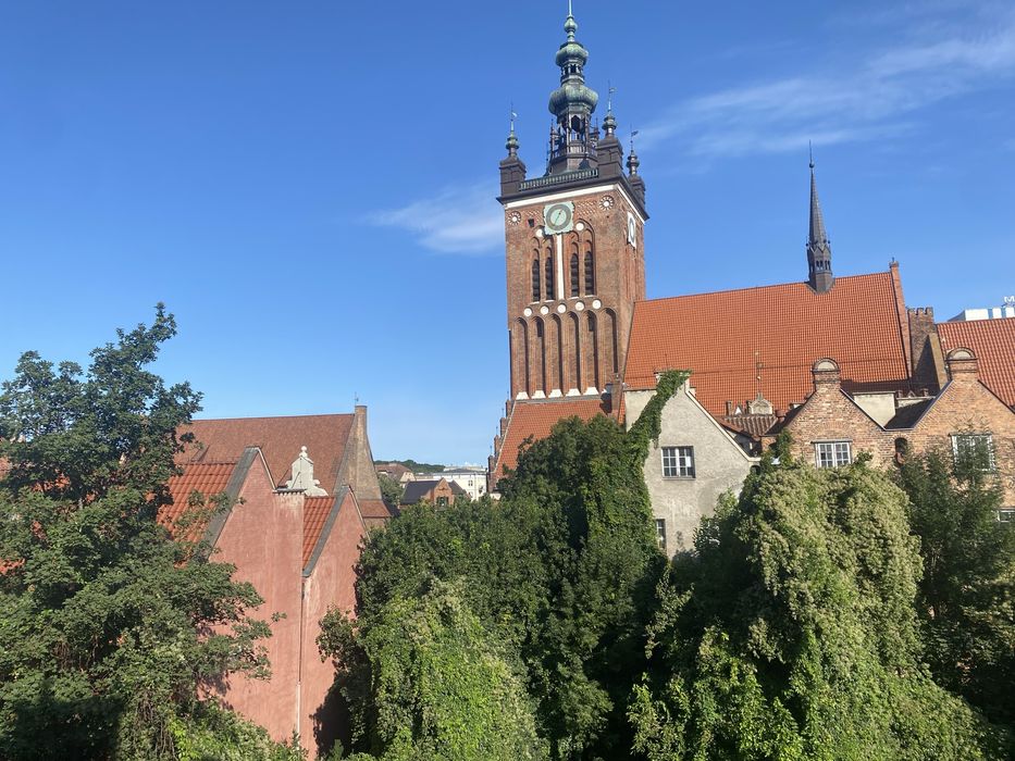Zdjęcie 2