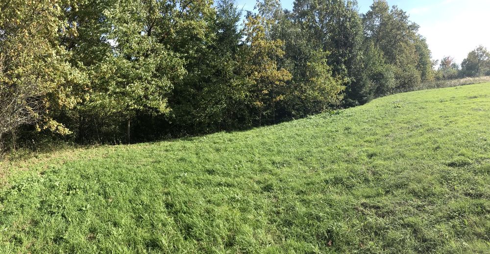 Działka rolna 43 ar. Lesko