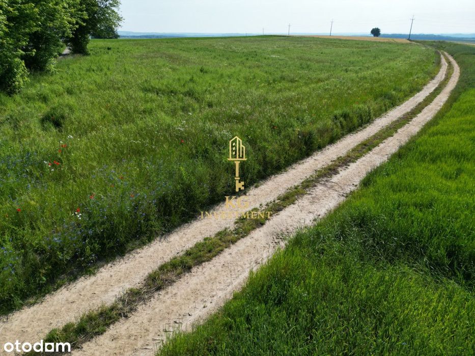 WZ na 8 domów | Inwestycyjna | Duża działka