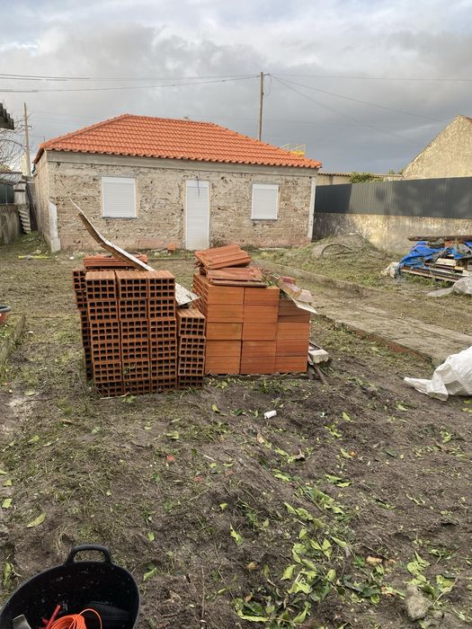 Limpeza de Terrenos/Matas, abate de árvores