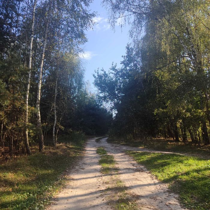 Земельна ділянка під лісом!!!