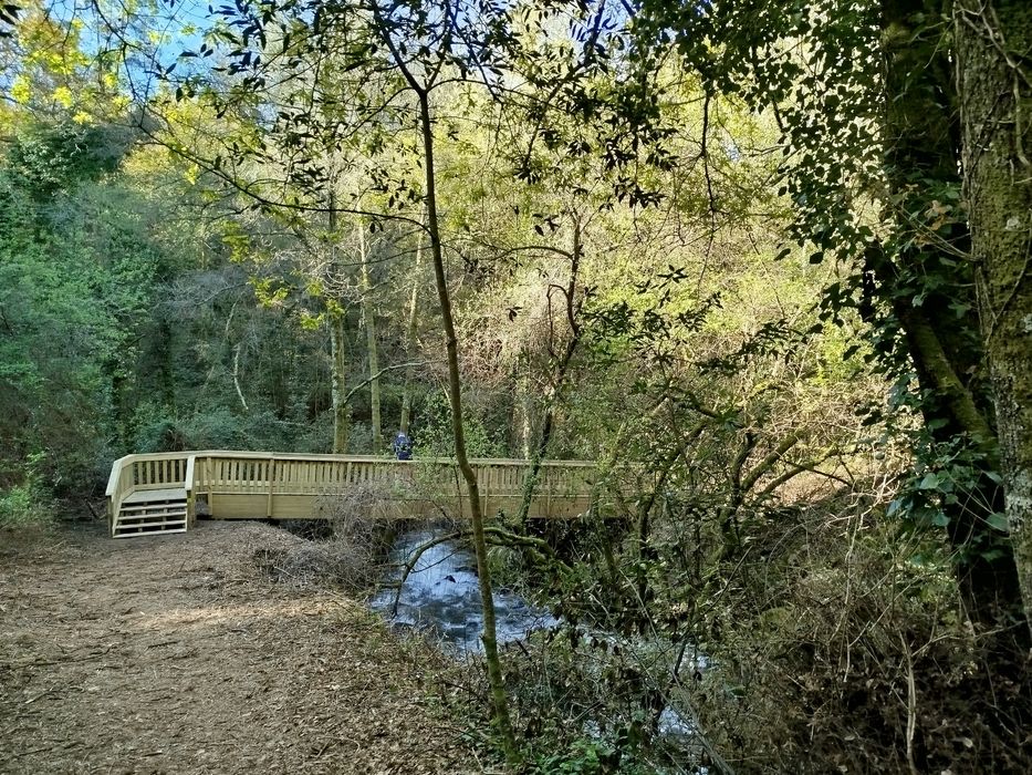 Quinta com casa antiga 7000m2 Pindelo