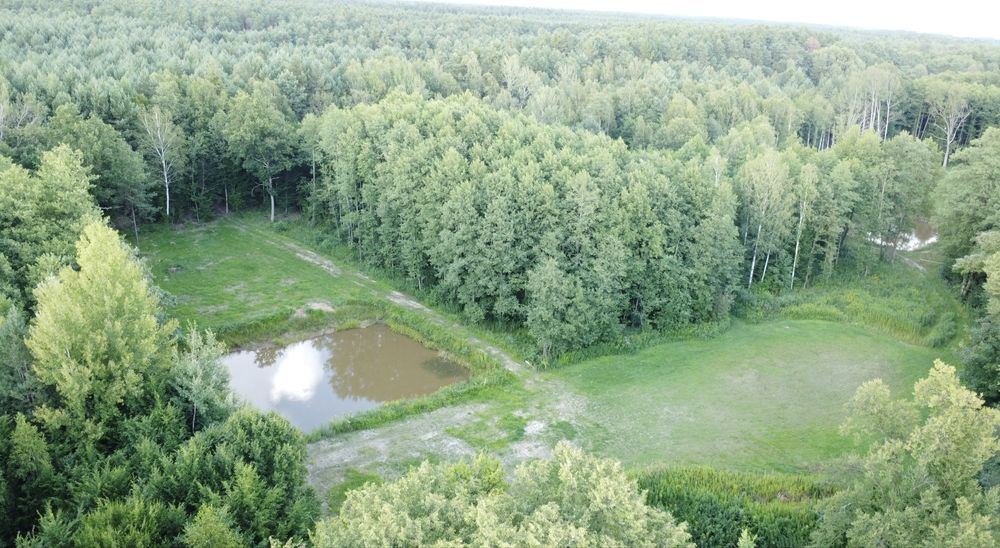 Dwie działki rekreacyjne ok 1ha  w Irenie okolice Zaklikowa