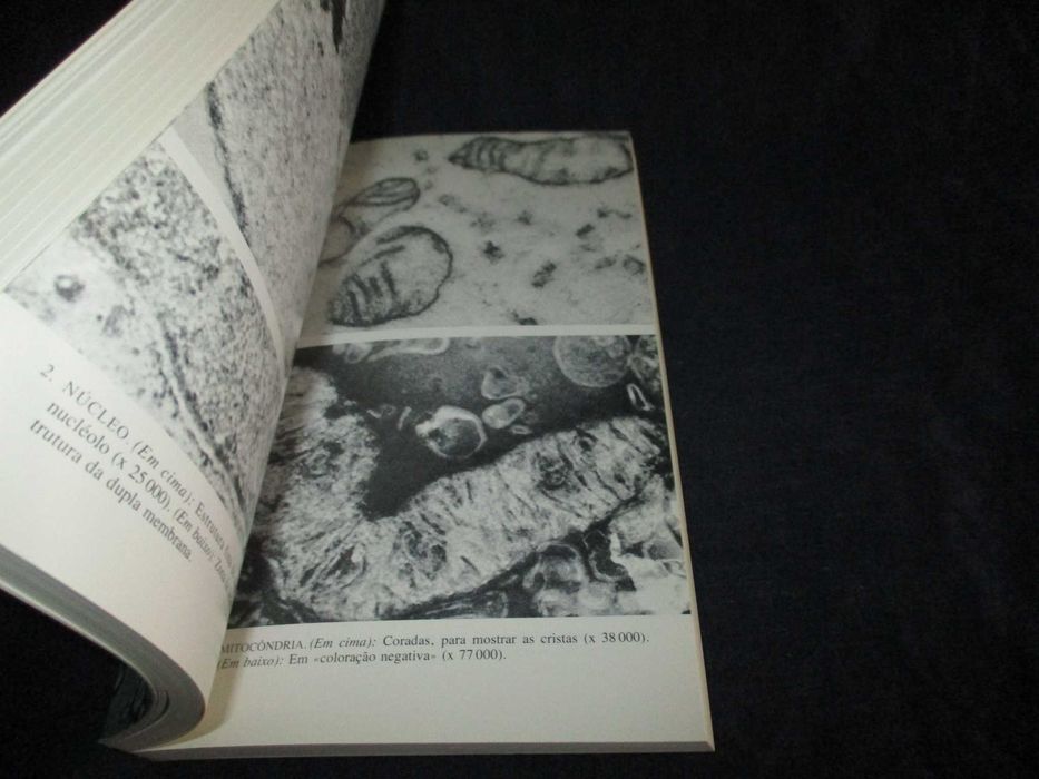 Livro A Química da Vida Steven Rose