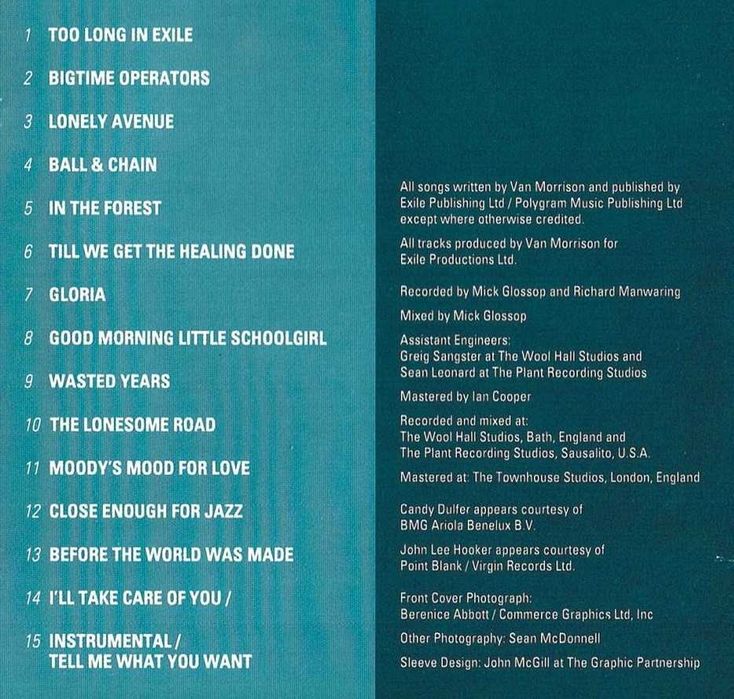 Van Morrison - Too long in exile - CD Original