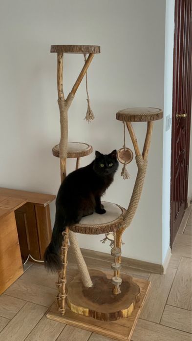 Дряпалка, кігтеточка для котів з натурального дерева, ручна робота