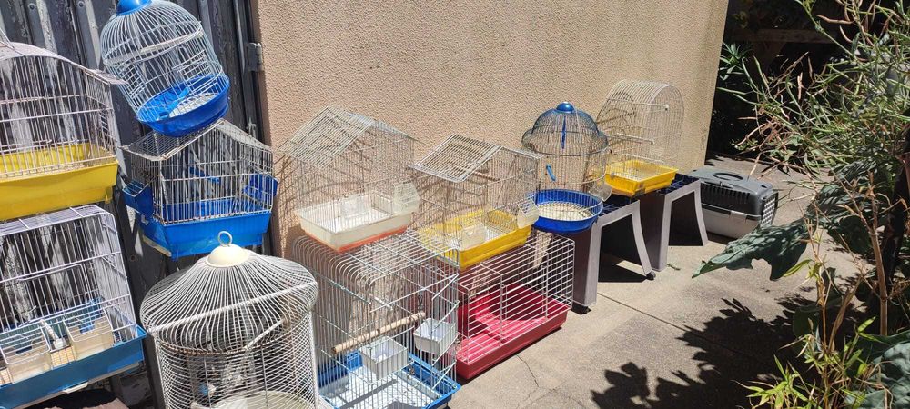 Tenho gaiolas par troca por aves agaporne ring neck caturras ou outras