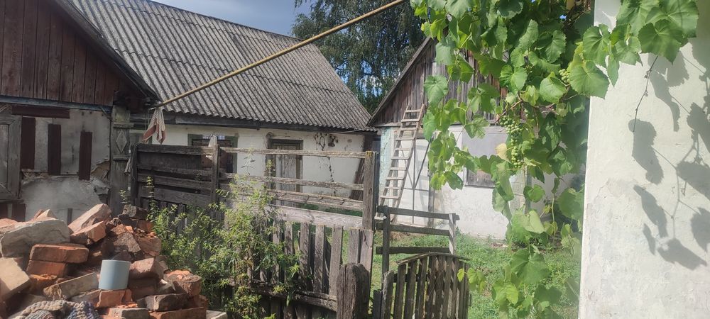 Продається домогосподарство