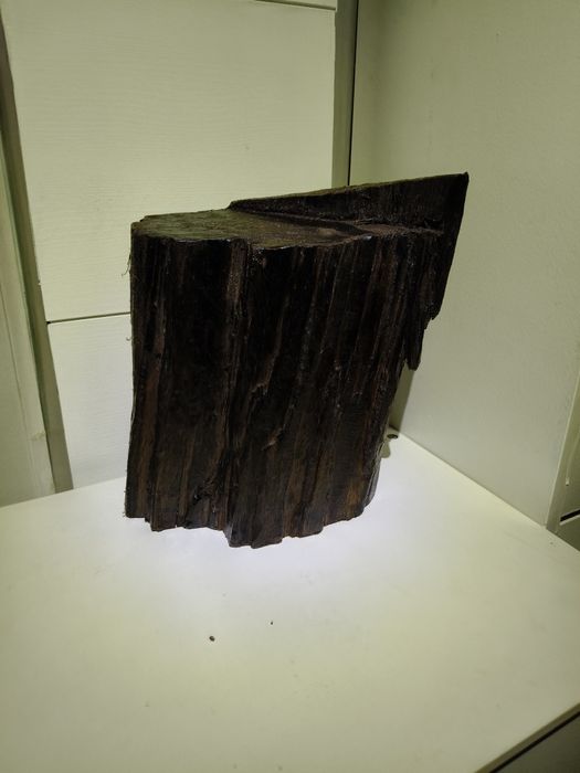 Czarny dąb, dekoracje