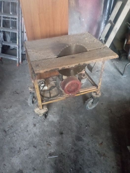 Krajzega do drzewa