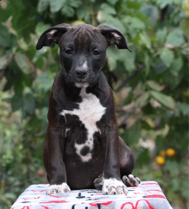 Ну що за красуня) тільки для достойних!