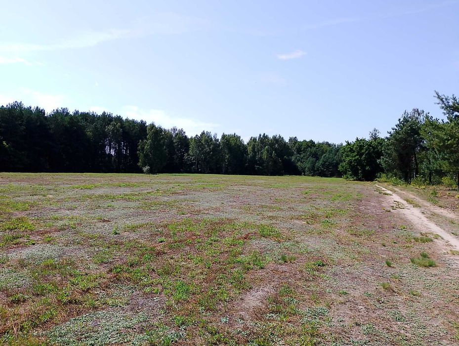 Działki budowlane po 1200 m2 z warunkami zabudowy.