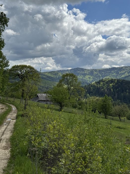 ділянка Карпати,Микуличин біля Буковеля 21сотих під будівництво зі світлом 15 квт