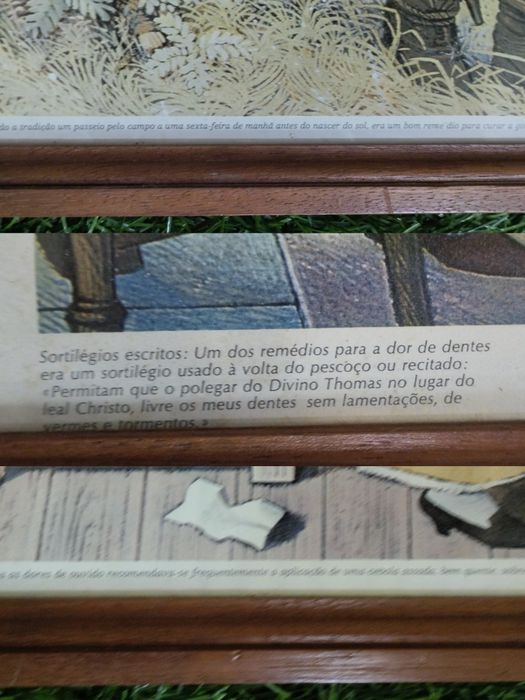 Quadros com gravuras de medicina antiga