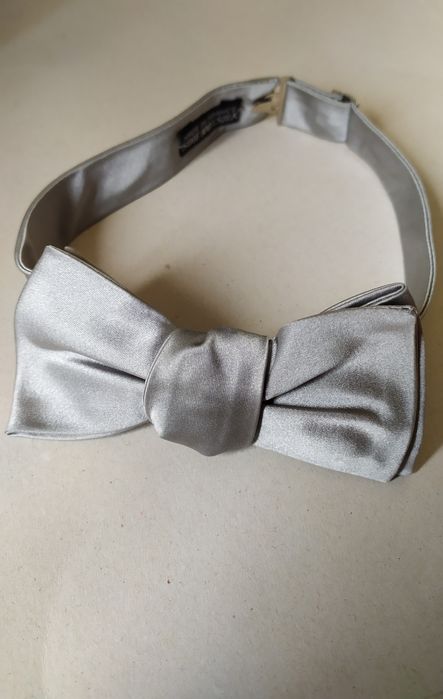 Шовковий сірий метелик шелковая серая бабочка