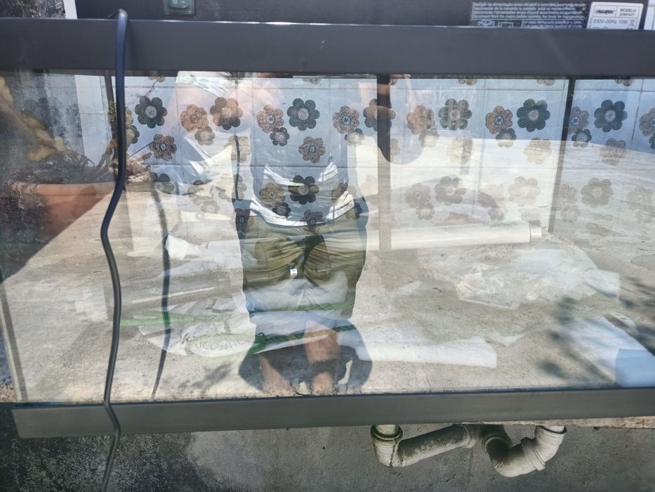 Conjunto de aquarios com acessórios